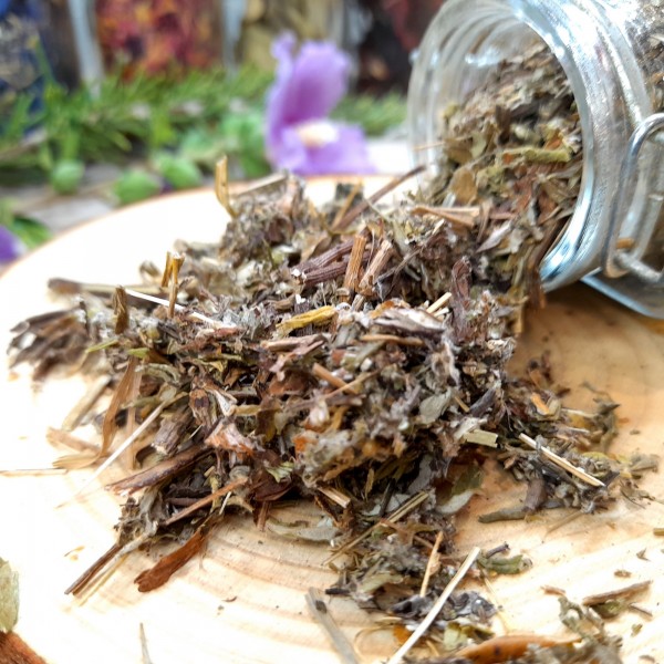 Armoise annuelle Bio - PLANTES GOURMANDES Belles et Comestibles