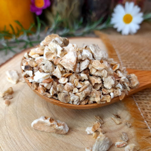 Racine de chicorée Bio