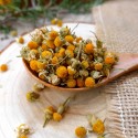 fleurs de camomille séchées