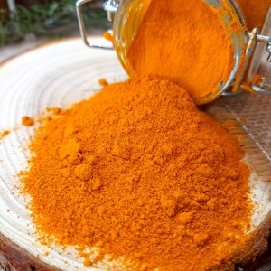 curcuma bio moulu